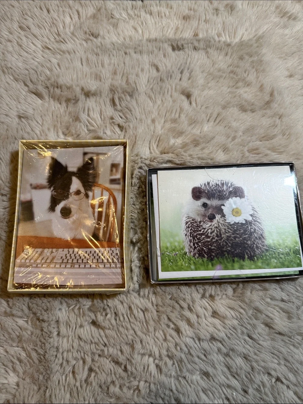 ✨American Greeting- Hedgehog & Dog Blank Cards and Envelops Set✨
